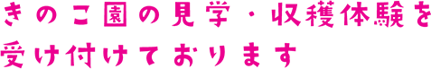 きのこ園の見学・収穫体験を受け付けております