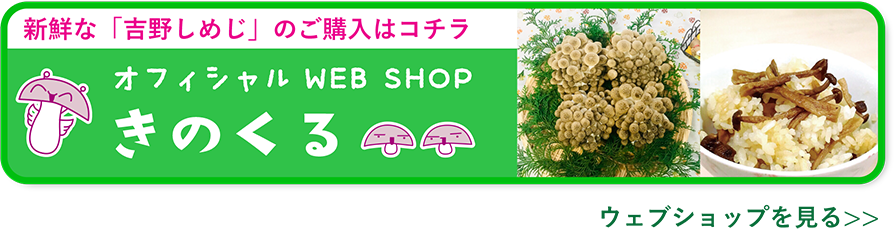 オフィシャル WEB SHOP きのくる