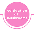 cultivation of mushrooms